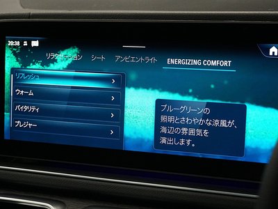 2026 Mercedes-BENZ GLS thumbnail 19