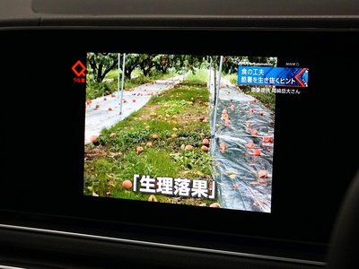 2026 Mercedes-BENZ GLS photo 15