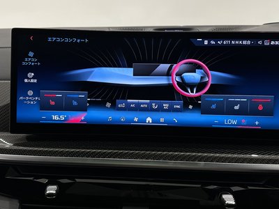 2025 BMW X7 thumbnail 39