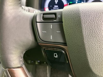 2025 Toyota ALPHARD photo 30