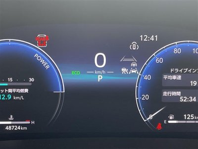 2024 Toyota ALPHARD — фото 9