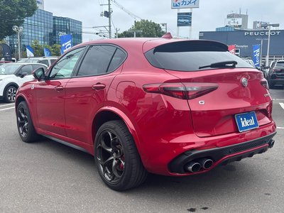 2019 ALFA Romeo STELVIO — фото 46