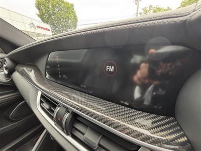2019 ALFA Romeo STELVIO — фото 18