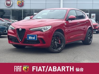 2019 ALFA Romeo STELVIO — фото 40