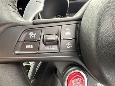 2019 ALFA Romeo STELVIO — фото 21