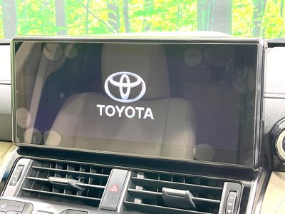 2024 Toyota LAND CRUISER 300 照片 6