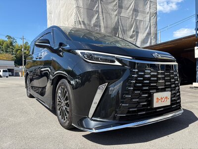 2024 Lexus LM photo 12