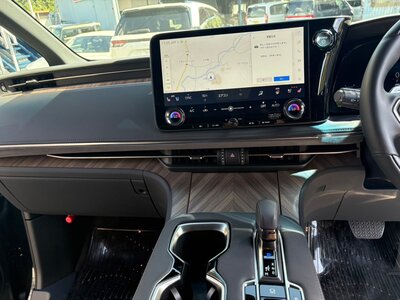 2024 Lexus LM photo 18