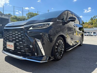 2024 Lexus LM photo 5