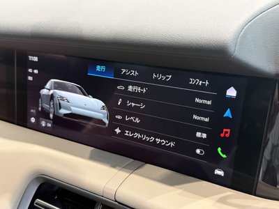 2025 Porsche TAYCAN — миниатюра 18