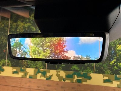 2024 Toyota LAND CRUISER 250 thumbnail 6
