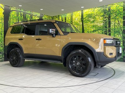2024 Toyota LAND CRUISER 250 photo 15