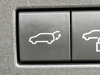 2024 Toyota LAND CRUISER 250 photo 38