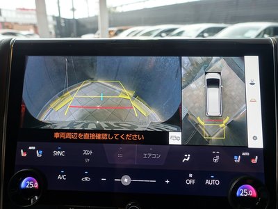 2025 Toyota ALPHARD — фото 46