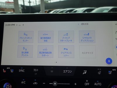 2025 Toyota ALPHARD — фото 44