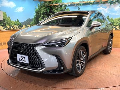 2023 Lexus NX — миниатюра 60