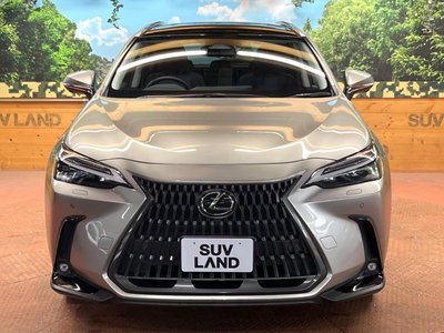 2023 Lexus NX — миниатюра 16