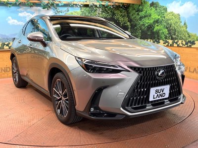 2023 Lexus NX — миниатюра 61