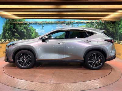 2023 Lexus NX — миниатюра 59