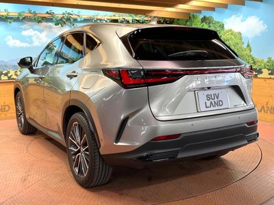 2023 Lexus NX — миниатюра 64