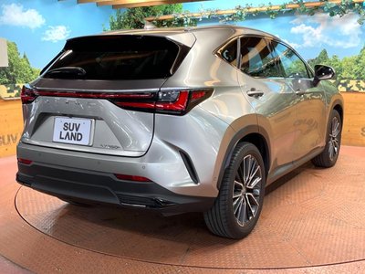 2023 Lexus NX — миниатюра 63