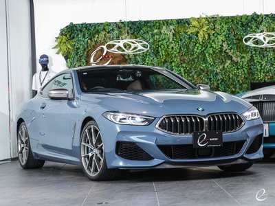 2018 BMW 8 SERIES — фото 25
