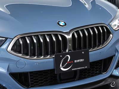 2018 BMW 8 SERIES — фото 27