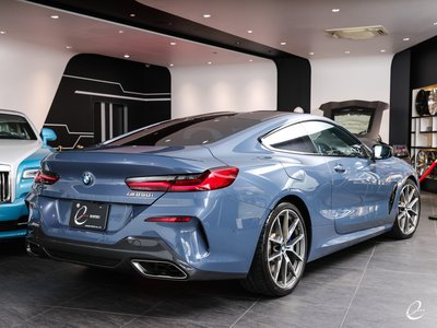 2018 BMW 8 SERIES — фото 48