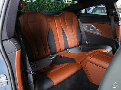 2018 BMW 8 SERIES — фото 71