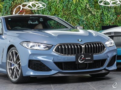 2018 BMW 8 SERIES — фото 19