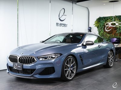 2018 BMW 8 SERIES — фото 20