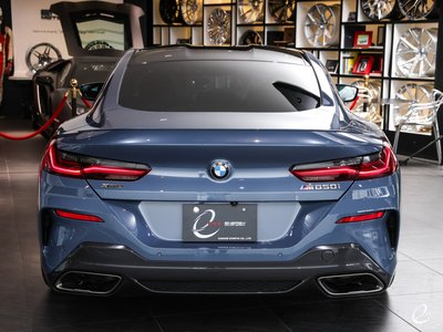 2018 BMW 8 SERIES — фото 46