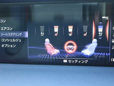 2019 Lexus LC 缩略图 13