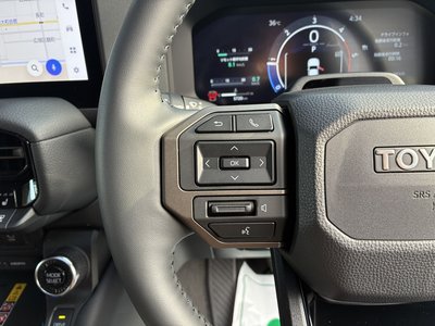 2024 Toyota LAND CRUISER 250 photo 14