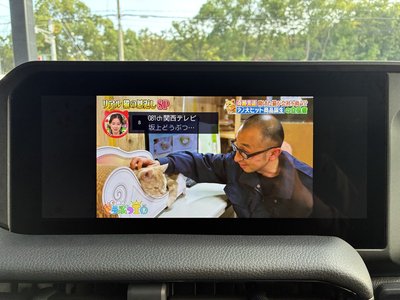 2024 Toyota LAND CRUISER 250 thumbnail 19