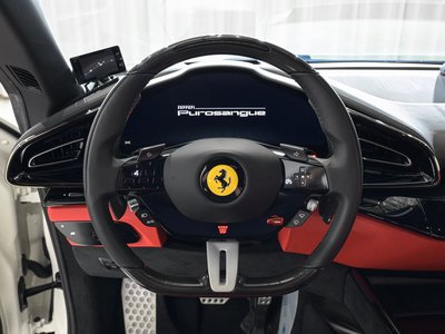 صورة 10 لـ 2024 Ferrari PUROSANGUE