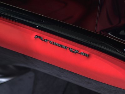 صورة 38 لـ 2024 Ferrari PUROSANGUE