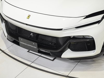 صورة 43 لـ 2024 Ferrari PUROSANGUE
