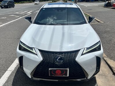 صورة 3 لـ 2019 Lexus UX