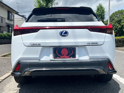 صورة 10 لـ 2019 Lexus UX
