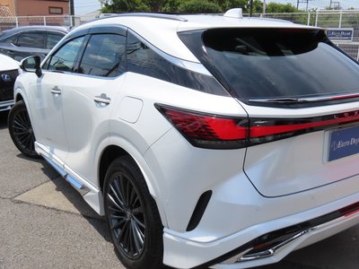 2025 Lexus RX — фото 43