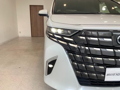2024 Toyota ALPHARD 照片 17