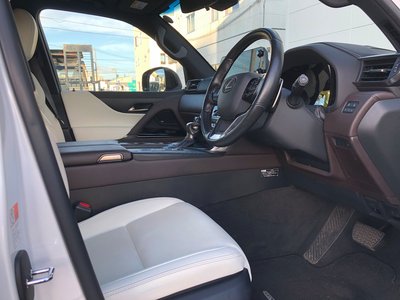 2023 Lexus LX — миниатюра 21