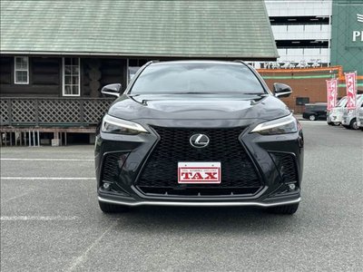 2023 Lexus NX 缩略图 19
