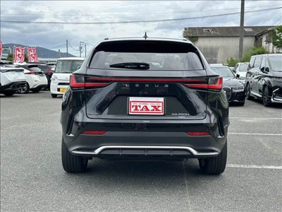2023 Lexus NX 缩略图 18