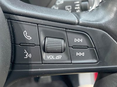 2019 ALFA Romeo STELVIO — фото 41