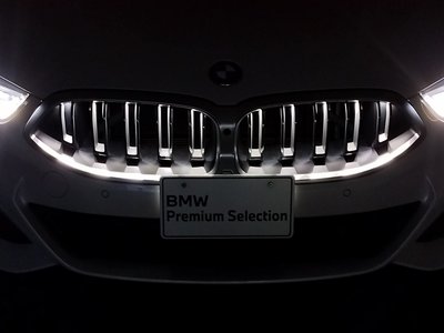2024 BMW 8 SERIES GRAN COUPE thumbnail 22