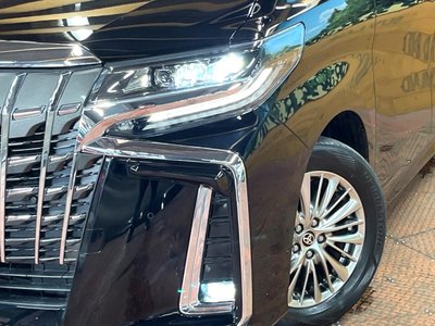 2022 Toyota ALPHARD 照片 12