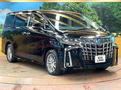 2022 Toyota ALPHARD 照片 16