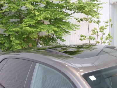 2023 AUDI Q8 thumbnail 14
